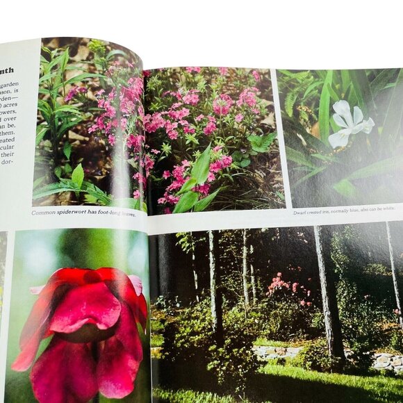 Wildflower Gardening Time Life Encyclopedia Gardening 1977 How to Grow Flowers u - Picture 7 of 10